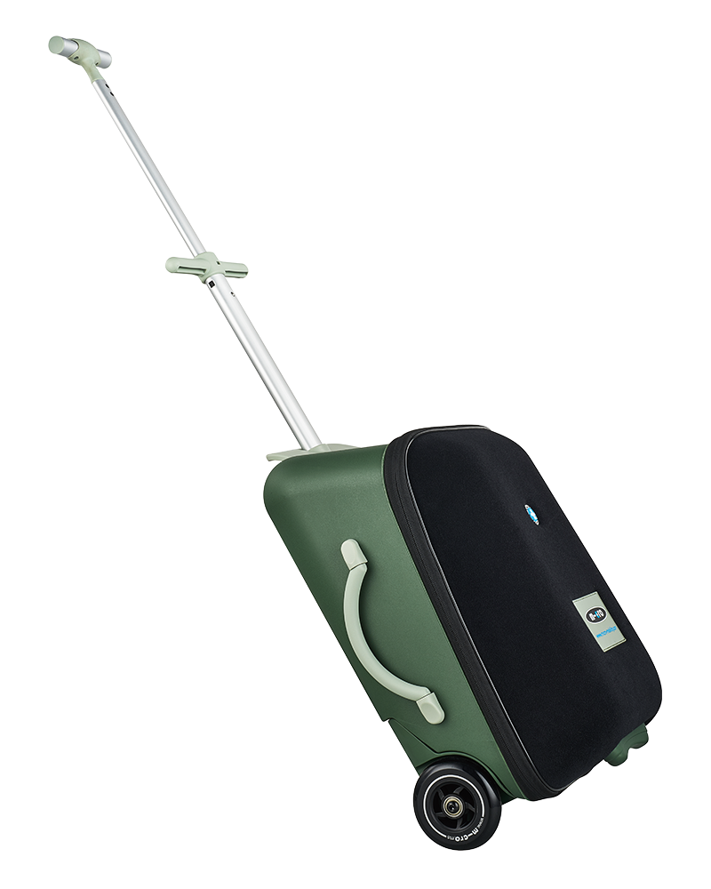 micro lazy luggage trike